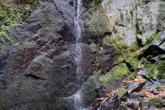 IMG_20211107_120229
