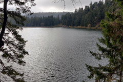 IMG_20211107_120738