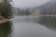 IMG_20211107_133043