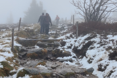 IMG_20211107_150241