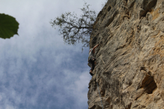 IMG_3819-scaled