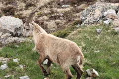 IMG_20230527_192239_526